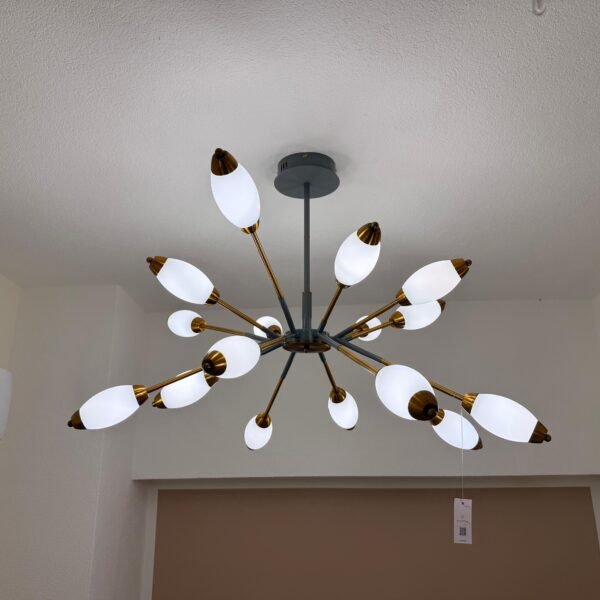 WhatsApp Image 2025-12-29 at 18.58.16 (1)